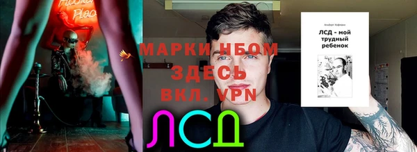 гидропоника Горнозаводск