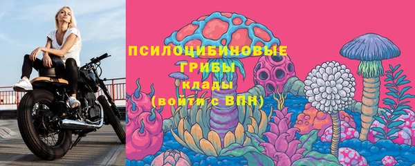 стафф Горняк